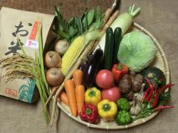 農魂野菜詰め合わせセット(5000円)